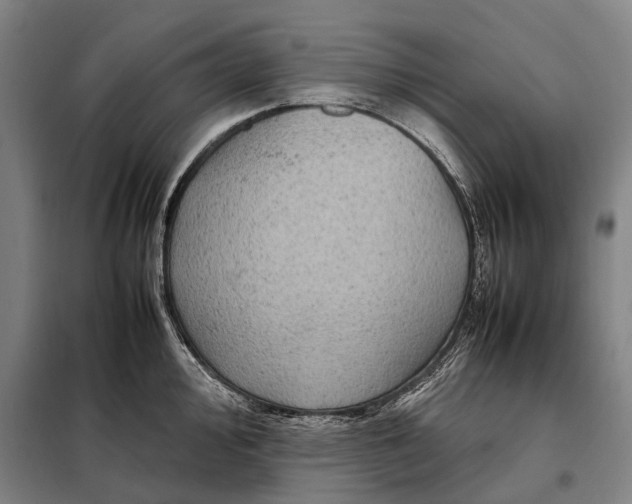 X0000097921000200804041520