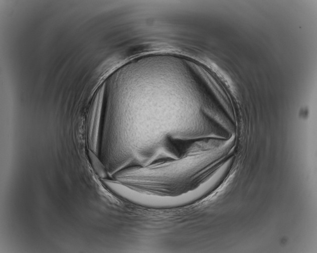 X0000097921001200804041520