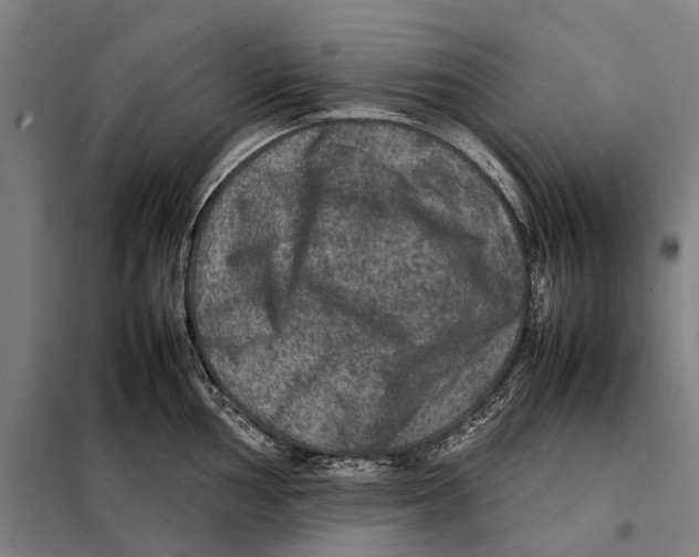 X0000097921002200804041520