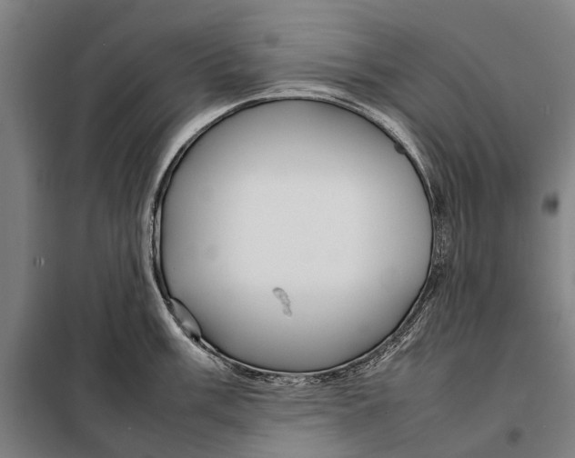 X0000097921003200804041520