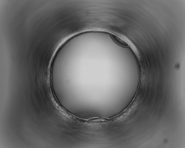 X0000097921004200804041520