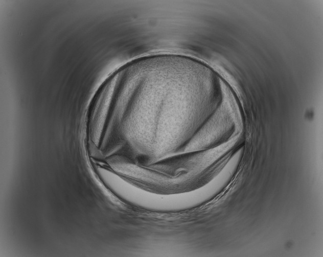 X0000097921005200804041520