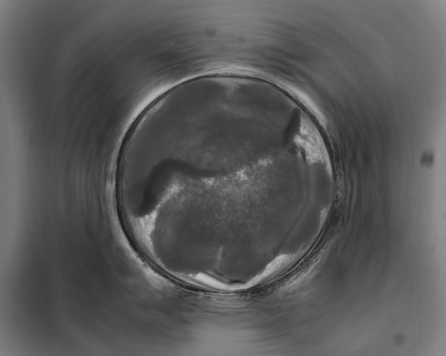 X0000097921007200804041520