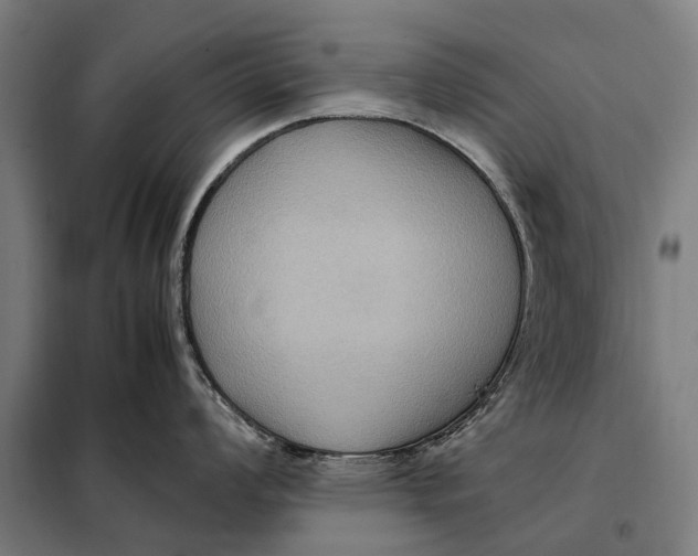 X0000097921008200804041520