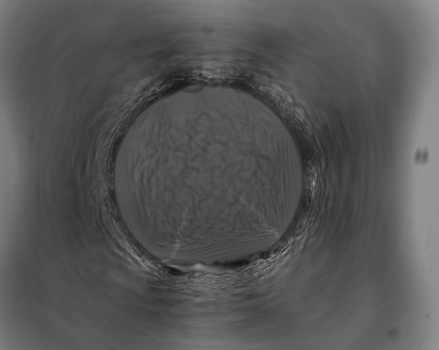 X0000097921009200804041519