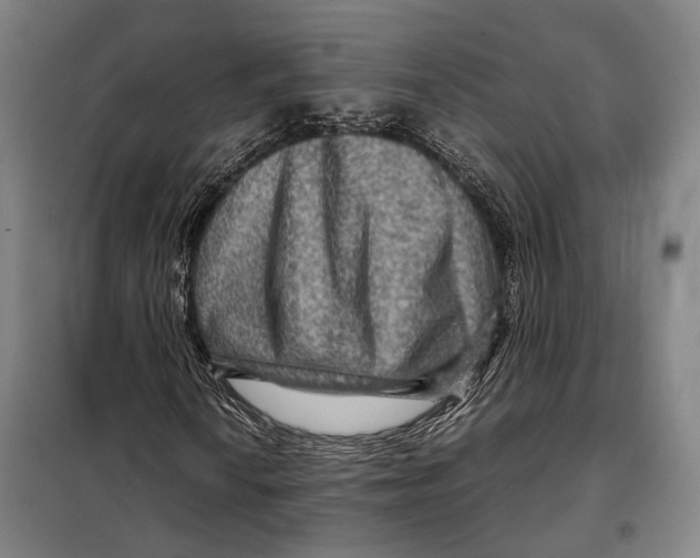 X0000097921010200804041519