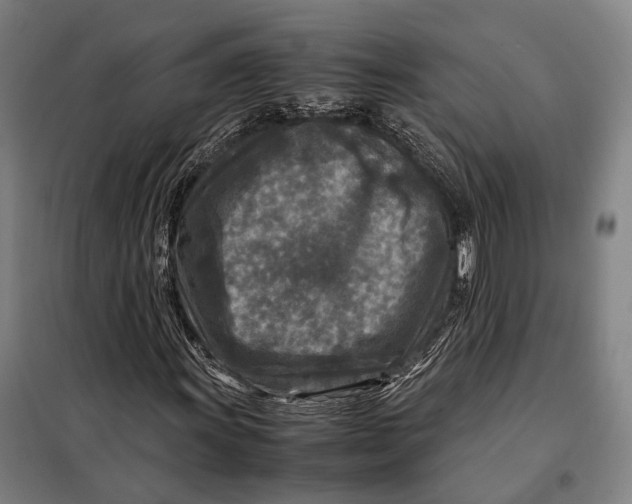 X0000097921011200804041519