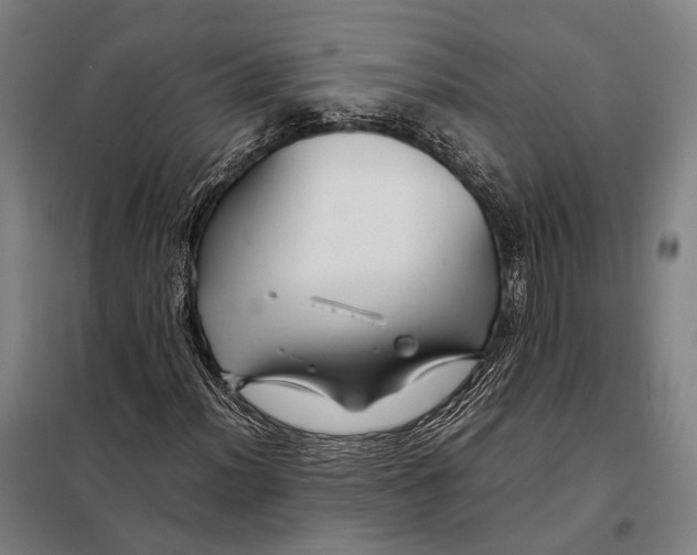 X0000097921012200804041519