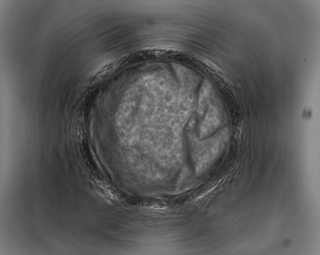 X0000097921014200804041519