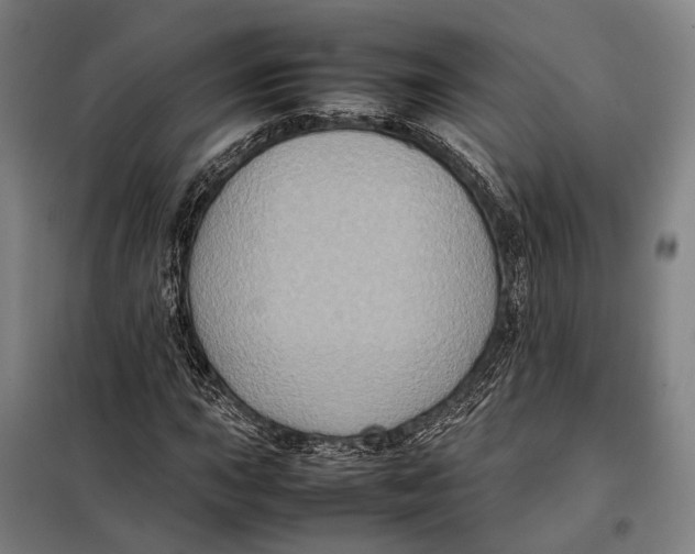 X0000097921015200804041519