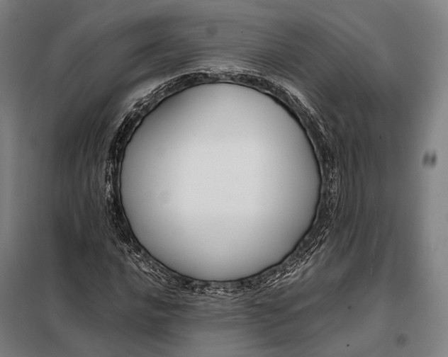 X0000097921016200804041519