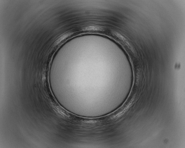 X0000097921017200804041519