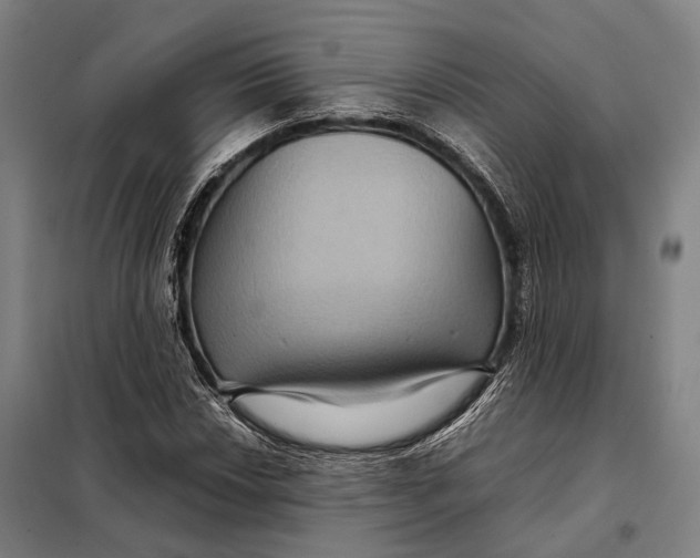 X0000097921018200804041519