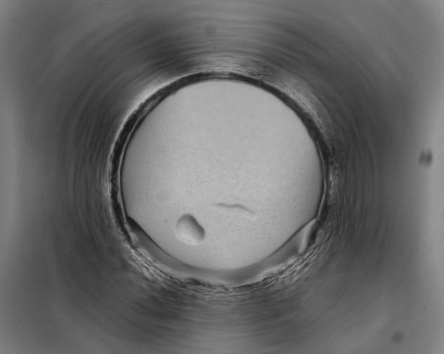 X0000097921020200804041519