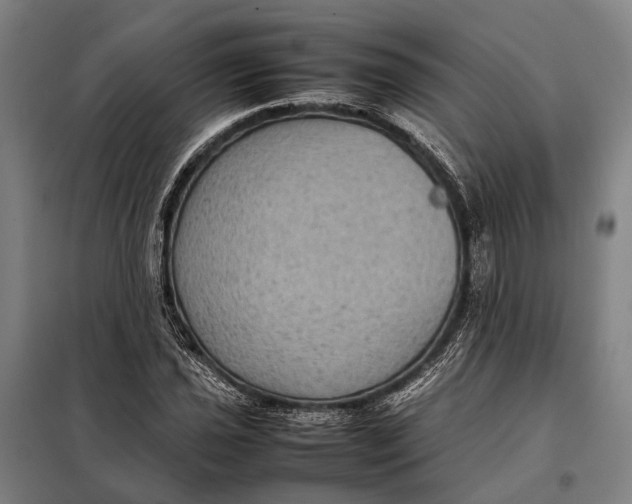 X0000097921021200804041519