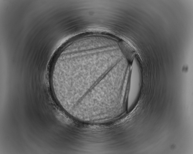 X0000097921022200804041519