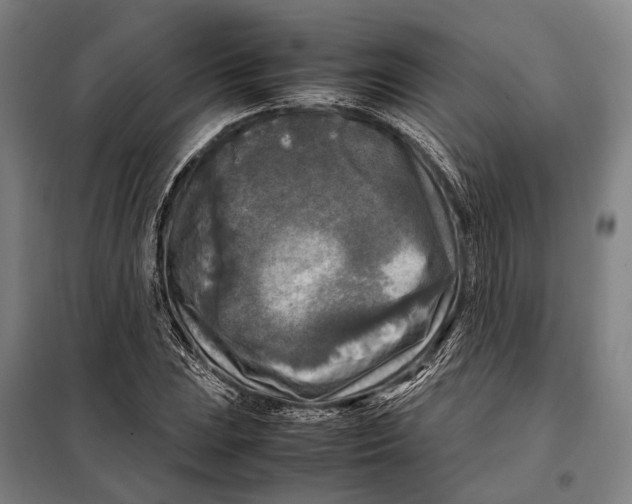 X0000097921023200804041519