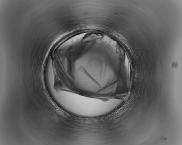 X0000097921024200804041519