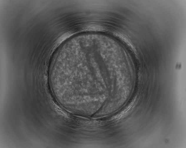 X0000097921025200804041519