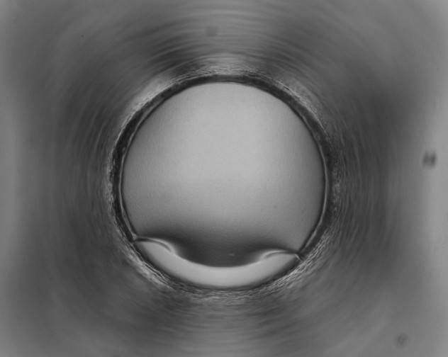 X0000097921026200804041519