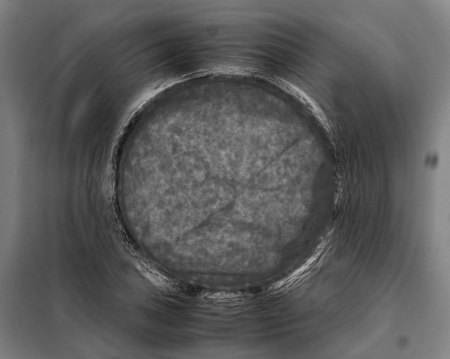 X0000097921027200804041519