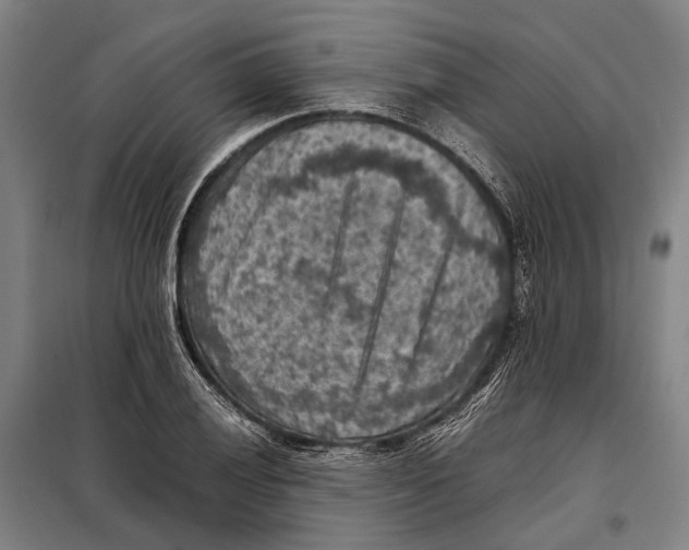 X0000097921028200804041519