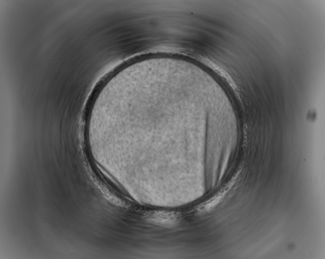 X0000097921029200804041519