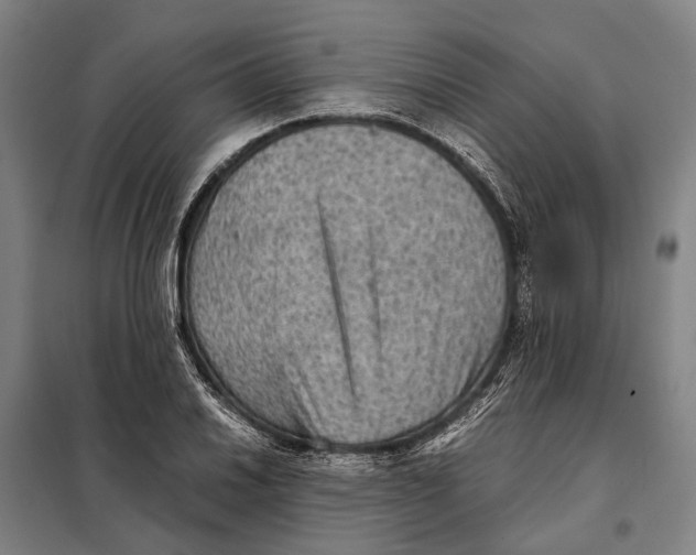 X0000097921030200804041519