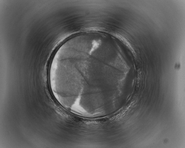 X0000097921031200804041519