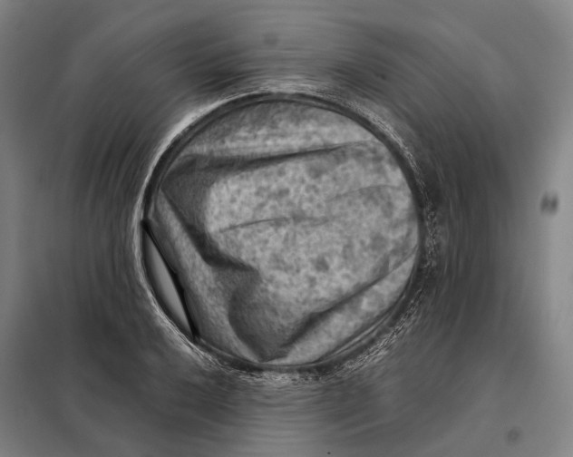 X0000097921032200804041519