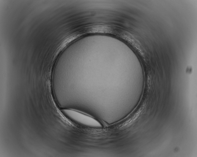 X0000097921033200804041519