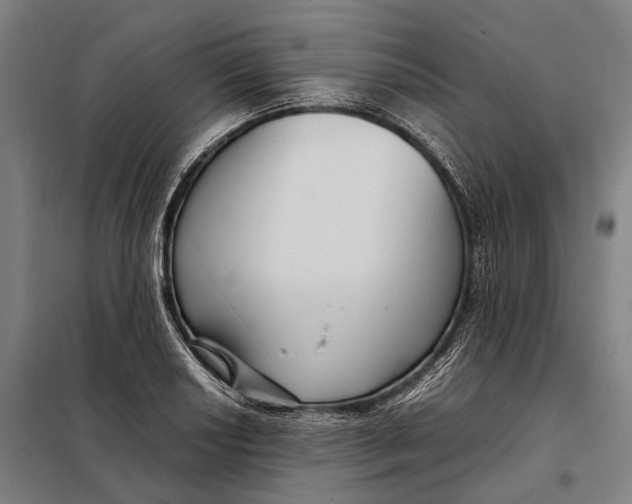 X0000097921034200804041519