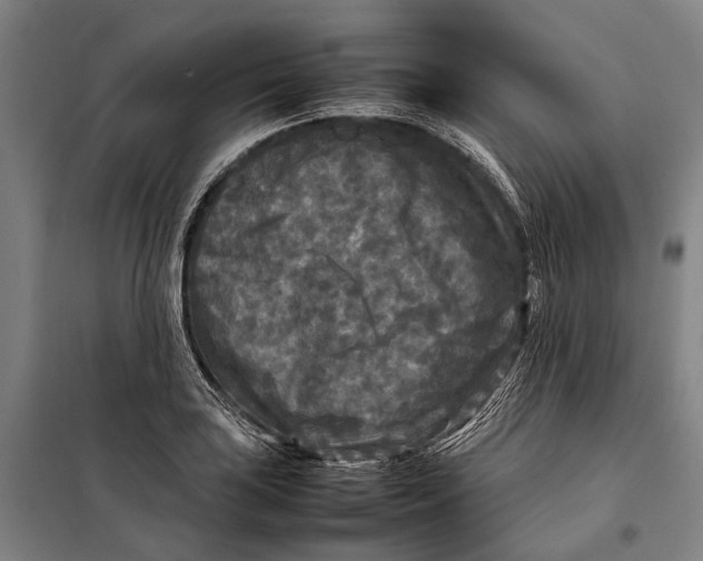 X0000097921035200804041519