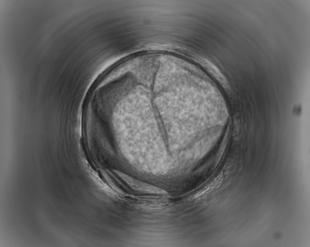 X0000097921036200804041519