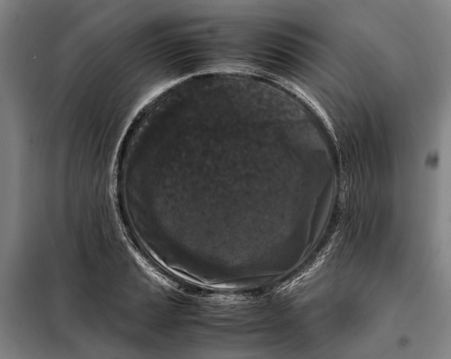 X0000097921037200804041519