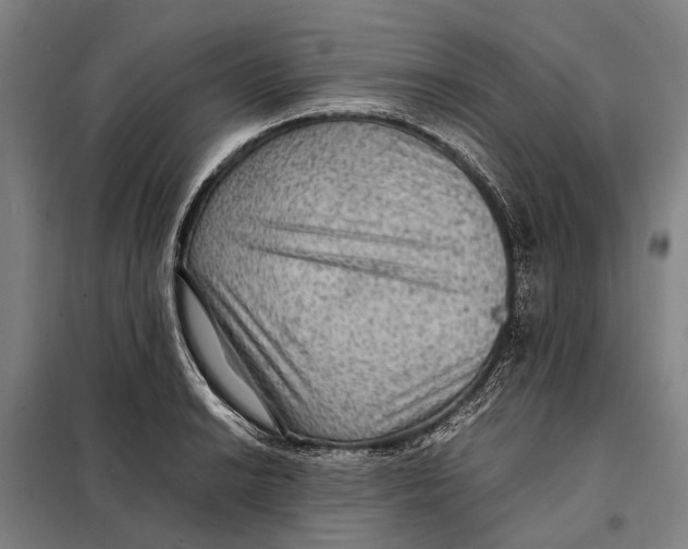 X0000097921038200804041519