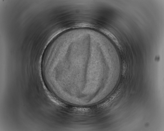 X0000097921039200804041519