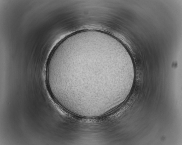 X0000097921040200804041519