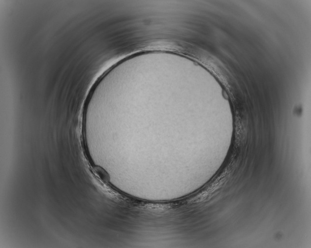 X0000097921044200804041519