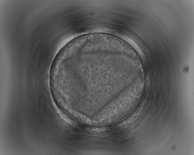 X0000097921047200804041520