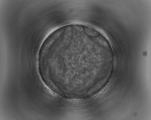 X0000097921048200804041520