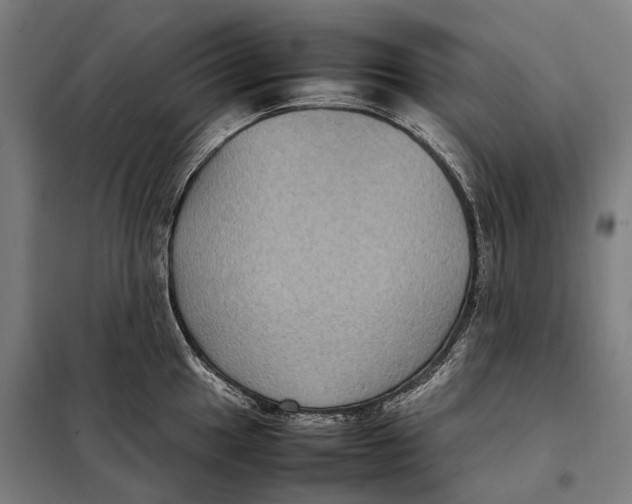 X0000097921049200804041520