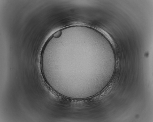 X0000097921051200804041520