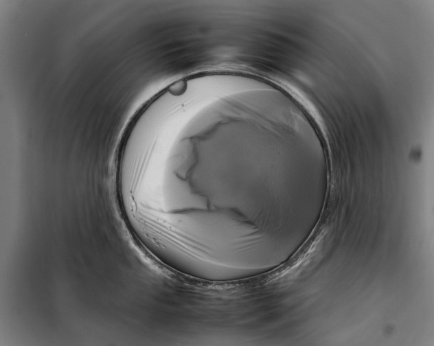 X0000097921053200804041520