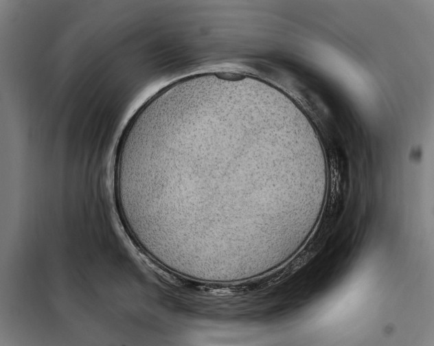 X0000097921054200804041520