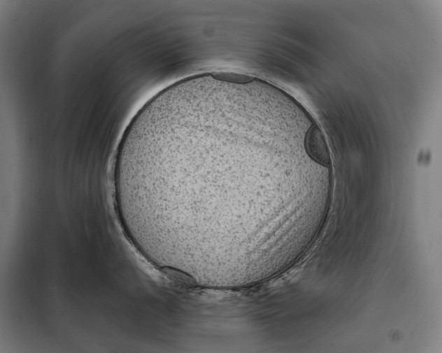 X0000097921056200804041520