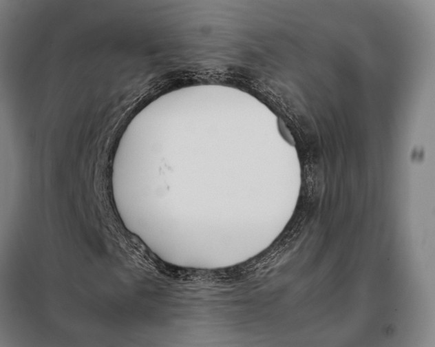 X0000097921057200804041519