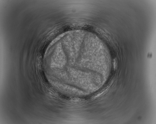 X0000097921059200804041519