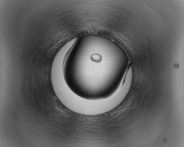 X0000097921060200804041519