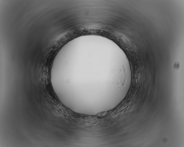 X0000097921062200804041519